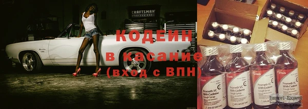 2c-b Бородино