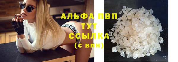 2c-b Бородино