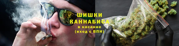 мдпв Бронницы