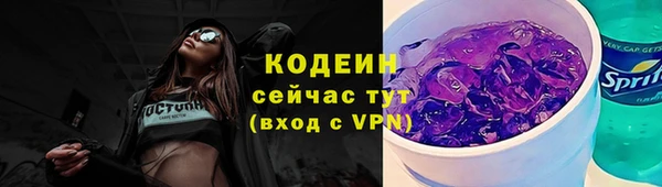 2c-b Бородино