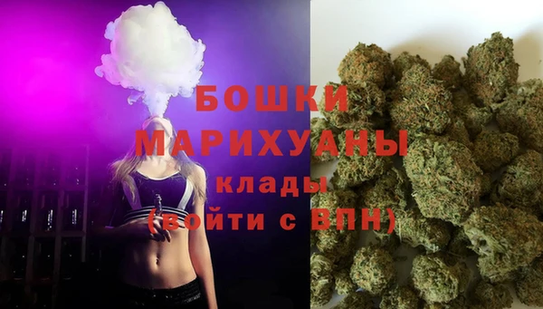 2c-b Бородино